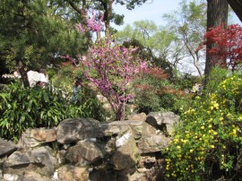 Lingering Garden - Suzhou